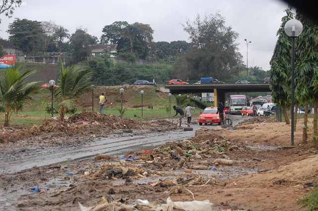 Environnement : Il faut passer à l’action